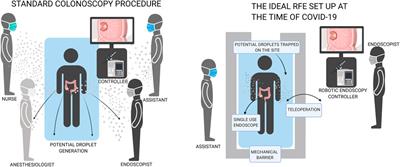 Guidelines for Robotic Flexible Endoscopy at the Time of COVID-19